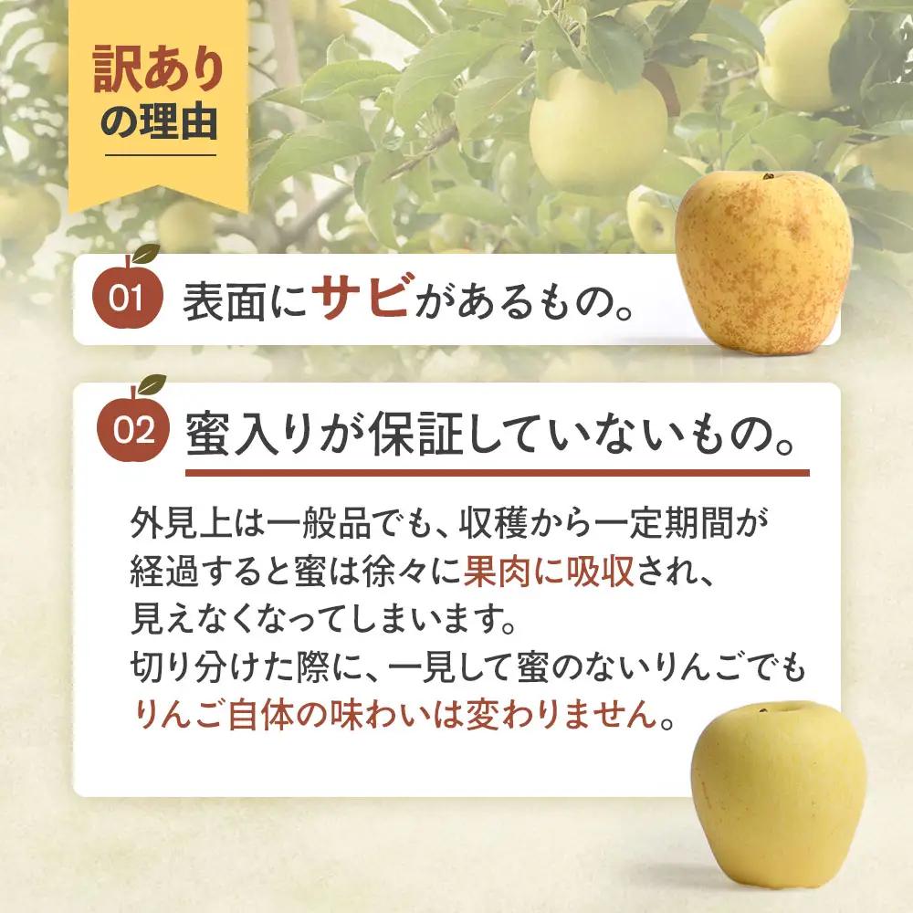 【ふるなびWEEK対象】【訳あり】 青森県産りんご はるか 約5kg 12月上旬～ りんご