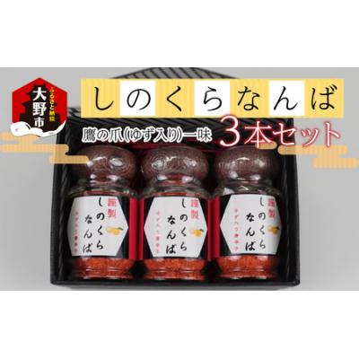 ふるさと納税 大野市 【道の駅人気商品】しのくらなんば3本セット