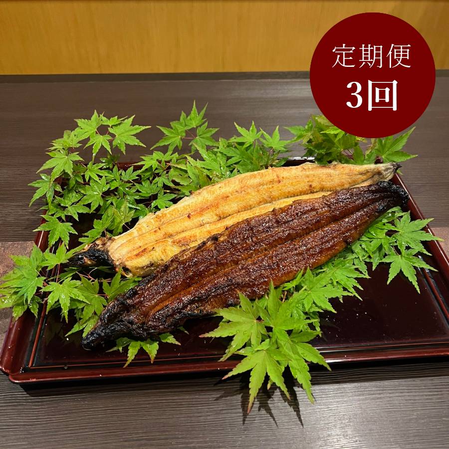 ＜うなぎ割烹　みかわ三水亭＞三河産鰻 炭火手焼き「蒲焼＆白焼き」各1尾（計2尾）【3ヵ月定期便】・M134