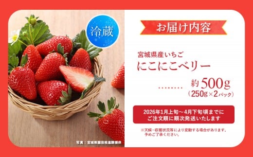 宮城県産いちご「にこにこベリー」　約500ｇ（250ｇ×2）