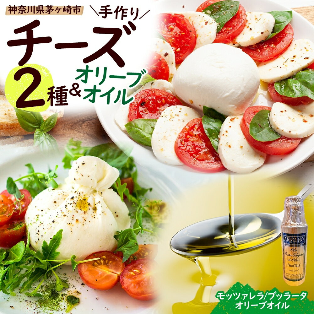 【ふるさと納税】【選べる配送回数/定期便】フレッシュチーズ 2種 オリーブオイル セット モッツァレラ ブッラータ 詰め合わせ 単品 定期便 チーズ おつまみ ピザ カプレーゼ 冷蔵