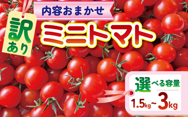 
            【訳あり】 品種おまかせ ミニトマト 選べる 1.5kg / 3kg  とまと トマト ミニトマト みにとまと 完熟 期間限定 冷蔵 常温 プチ プチトマト 野菜 サラダ お弁当 産地直送 新鮮 国産 千葉県産 美容 健康 厳選 おまかせ お楽しみ セット ランダム 千葉県 旭市 Sai10faRM stf
          