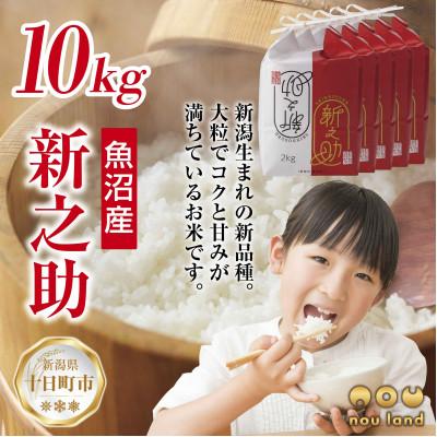 ふるさと納税 十日町市 【令和7年産 新米予約】 【新品種】 魚沼産 新之助 2kg×5袋 新潟県 十日町市 のうランド