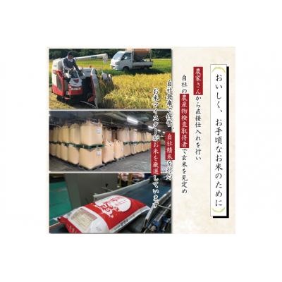 ふるさと納税 宝達志水町 米 令和7年 能登米 こしひかり 精米 10kg ×3袋 計30kg [中橋商事 38601196] |  | 02