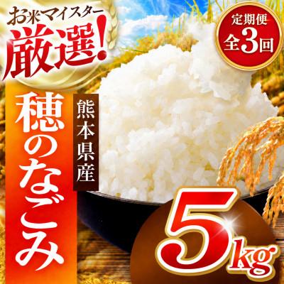 ふるさと納税 和水町 【毎月定期便】熊本県 穂のなごみ 白米 5kg (ブレンド米)全3回