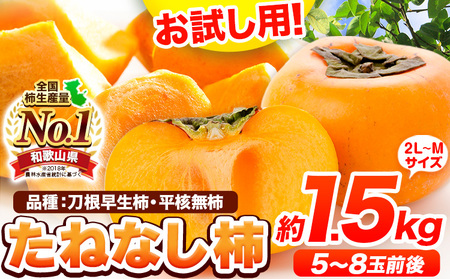 柿 かき お試し用！  【先行予約】たねなし柿（刀根早生柿・平核無柿）約1.5kg（5～8玉前後） 《2025年9月中旬-11月上旬頃出荷》 和歌山県 紀の川市 種なし柿 産地直送 柿 果物 フルーツ 2L～Mサイズ カキ