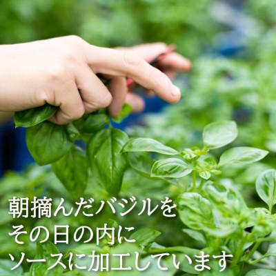 ふるさと納税 日高町 濃厚・無添加　バジルソース(ジェノベーゼソース)　瓶　100g×10本 |  | 02