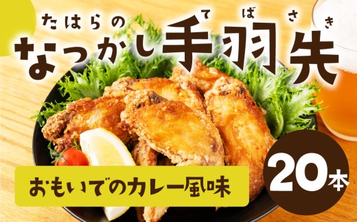 たはらのなつかし手羽先 カレー風味 20本 手羽先 カレー 味 手羽 おかず ご飯 のお供 おやつ おつまみ 揚げ物 グリル スパイス 田原市 渥美半島 松井産業