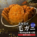 【ふるさと納税】【配達地域限定】 朝茹で 直送毛ガニ 350g前後×3杯 冷蔵 未冷凍 毛ガニ 北海道 ふるさと納税 毛蟹 毛がに 毛ガニ 魚介類 魚 海鮮 新鮮 年末年始 恵庭市 恵庭 北海道ふるさと納税【52000903】