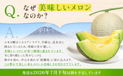 【北海道ニセコ町産】青肉メロン大玉1玉　＜数量限定・2026年早期予約・7月下旬より出荷予定＞