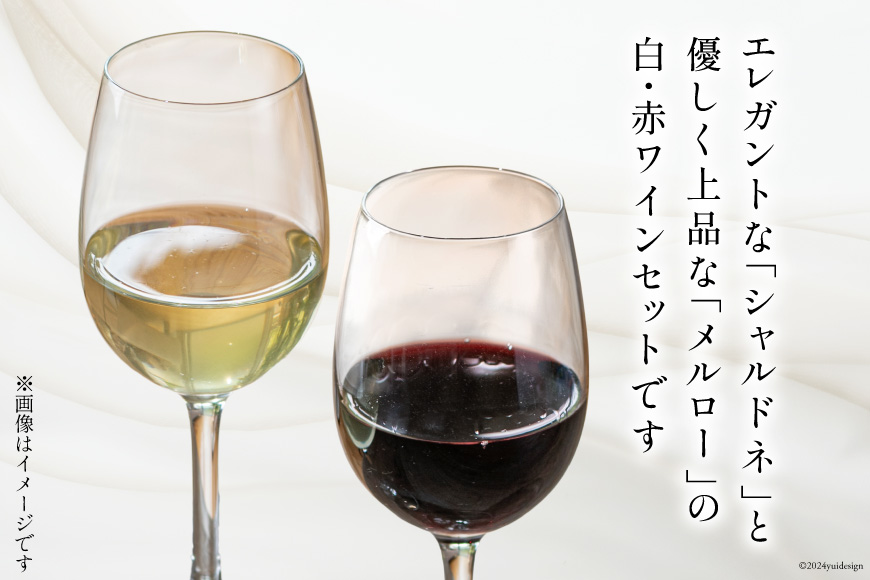白 赤 ワイン 2本 セット ジョイア シャルドネ メルロー 各 750ml [Poggio Verde（ポッジョ ヴェルデ） 長野県 池田町 48110667] 白ワイン 赤ワイン わいん_イメージ