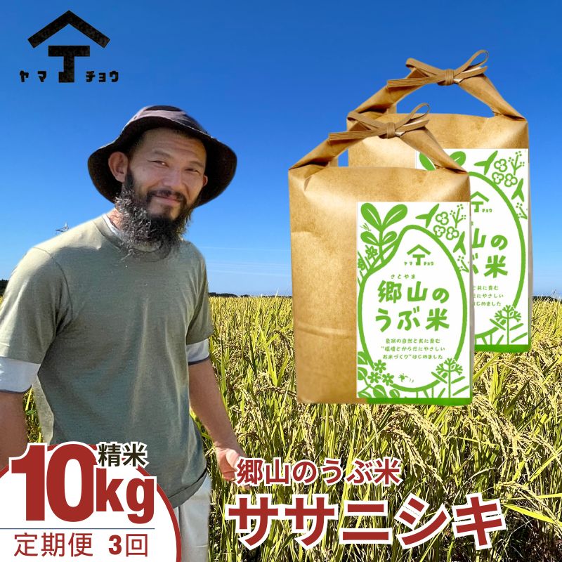 【ふるさと納税】定期便 3ヶ月 郷山のうぶ米 ササニシキ 精米 10kg 5kg×2袋 秋田県産 令和6年産 お米