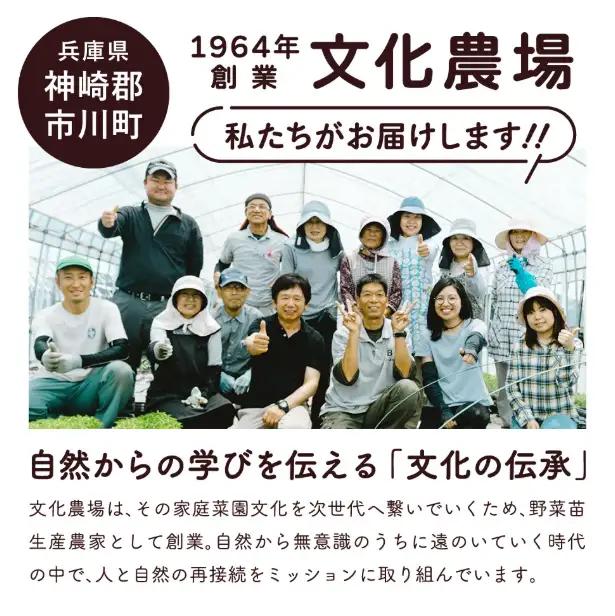 家庭菜園用培土「文化の土」90L　016BK01N.／ガーデニング 花 野菜 栽培 ベランダ菜園 培土 用土 初期育成 肥料入り 家庭菜園 土 培養土 鉢植え 園芸用土 初心者 元肥入り はじめての家