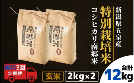 【令和6年産新米】〈隔月3回定期便〉特別栽培米コシヒカリ「南郷米」玄米4kg（2kg×2袋）［2024年9月中旬以降順次発送］ 有限会社ファームみなみの郷