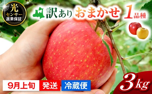 【2026年9月上旬発送】おまかせ 訳ありりんご 約 3kg  青森 |選べる配送時期|  りんご 青森 五所川原