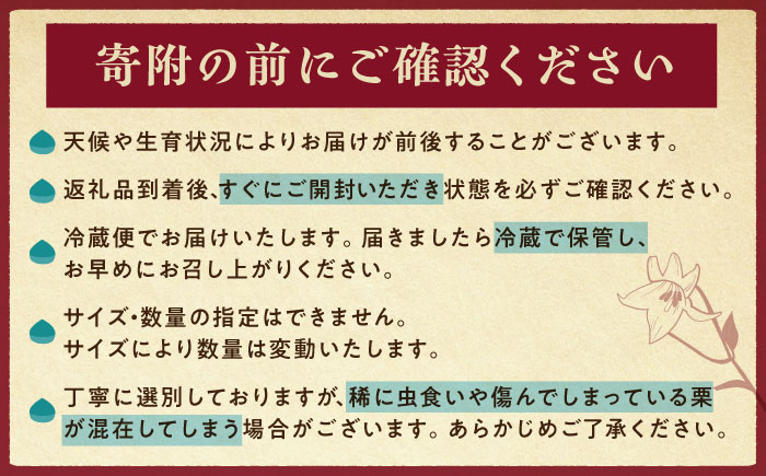 【先行予約】【2026年10月下旬より順次発送】岐阜県産栗「東美濃ぽろたん」 2kg 【季節限定】 / 栗 くり 栗きんとん / 東美濃農業協同組合 [AUDS001]