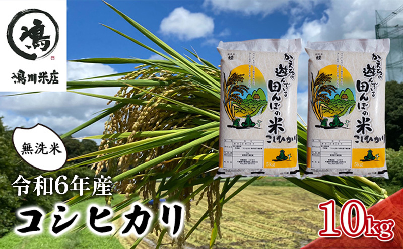 
コシヒカリ 乾式無洗米 10kg（5kg×2）令和6年産 [№5346-0385]
