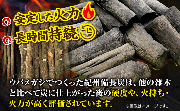 紀州備長炭 小丸 約15kg 望商店 《120日以内に出荷予定(土日祝除く)》 和歌山県 日高川町 備長炭 紀州備長炭 炭 約15kg 高級白炭 BBQ 焚火 アウトドア アウトドア用品