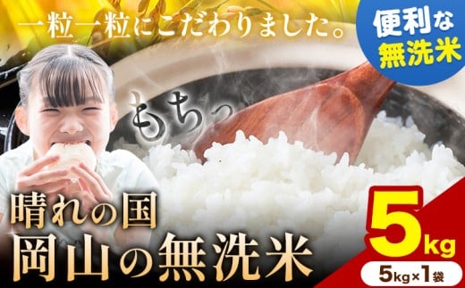 【年内発送！】 晴れの国岡山の無洗米 5kg (5kg×1袋) 岡山県産 無洗米 無洗 米 矢掛町《12月末までに出荷(土日祝除く)》 米 コメ