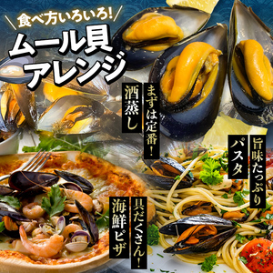 三陸山田産 活ムール貝 4kg ムール貝