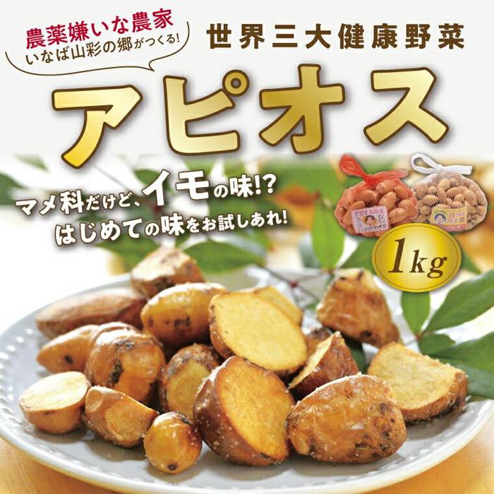 【ふるさと納税】世界三大健康野菜 アピオス 1キロ | 鳥取 期間限定
