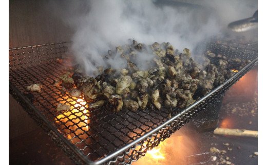 【ふるさと納税】むなかた鶏肩肉使用やわらか鶏の炭火焼【道の駅むなかた】_HA0721 送料無料むなかた鶏 おかず おつまみ やわらかい 電子レンジ 湯せん