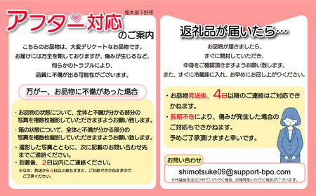 【2026年先行予約】【栃木県共通返礼品】日本一のいちご生産量を誇るJAはが野が厳選 とちあいか平パック6P | 送料無料 いちご フルーツ 甘い ジューシー かき氷 苺 ｲﾁｺﾞ ハート ハート型 