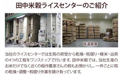 【令和7年産】 福岡県 大木町産 ひのひかり 5kg　BC01-1