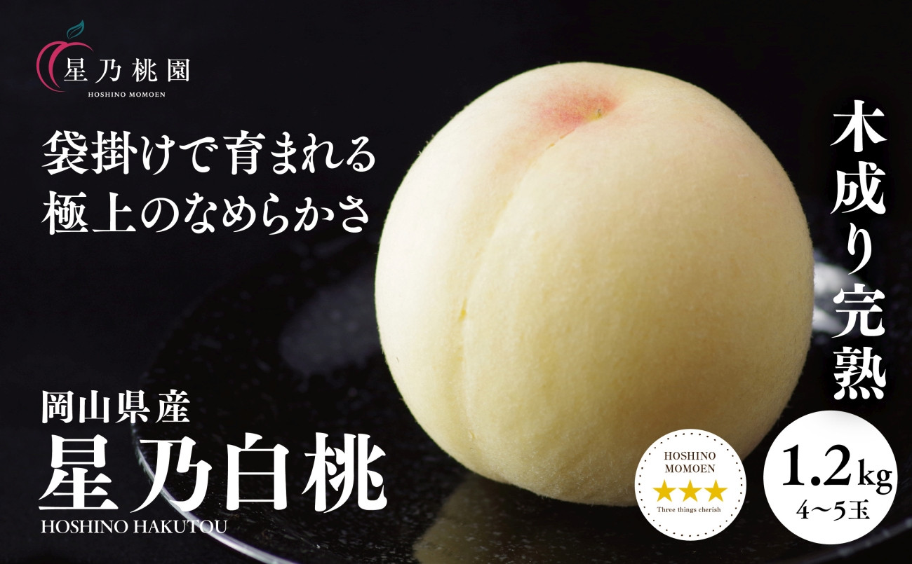 
                  先行受付＜星乃白桃＞岡山県の桃園からお届けする三つ星の桃 1.2kg (4～5玉)_ 桃 白桃 もも 甘い 果物 くだもの フルーツ 岡山県 津山市 人気 おすすめ 送料無料 贈答 ギフト 【1614276】
                