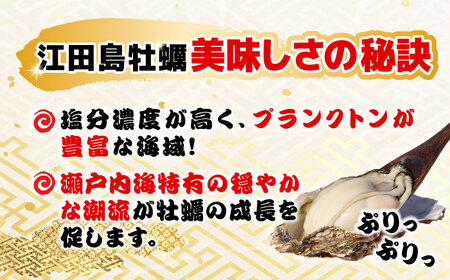 新鮮牡蠣の極上カキフライ！【瞬間冷凍】広島牡蠣 カキフライ20個×10パック 大容量 魚介類 海鮮 牡蠣 むき身 かき カキフライ カキ ギフト 広島県産 人気 送料無料 江田島市/株式会社門林水産[