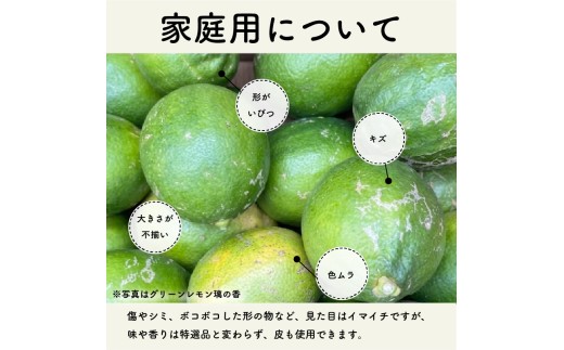 【2026年9月中旬頃から順次発送】家庭用 グリーン璃の香 S～2L 5kg | 果物 くだもの フルーツ グリーンレモン ぐりーんれもん  
