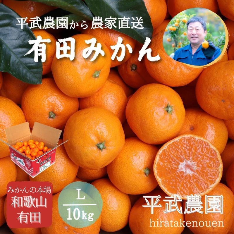 
            農家直送！有田みかん（10kg Lサイズ 秀品）平武農園　～蛍飛ぶ町から旬の便り～
          