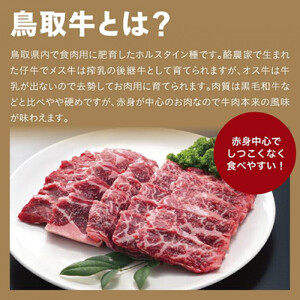 鳥取牛サンカクバラ焼肉用 600g（冷凍）
