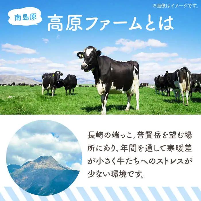 【2026年12月-発送】【濃厚ミルク】ジェラート ミルク2個 黒ゴマ2個 いちご2個 計6個入り / アイスクリーム スイーツ / 南島原市 / 高原ファーム [SFP003]
