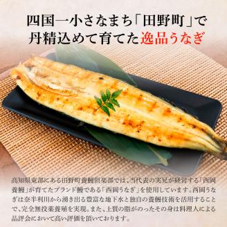 田野町産うなぎの白焼き(大) 3尾×6回 定期便 6ヶ月 定期コース 1尾あたり120～150g タレ・山椒付き