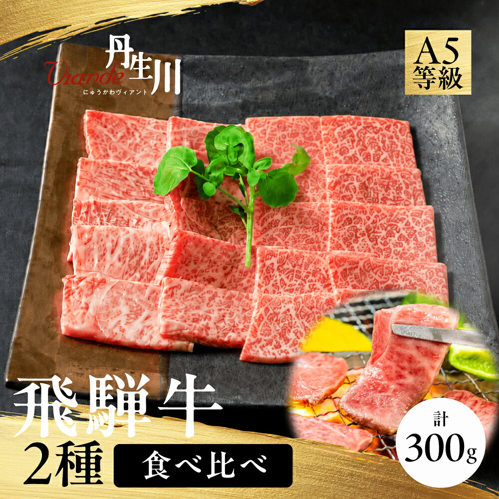【ふるさと納税】2種食べ比べ！飛騨牛A5等級肩もも焼肉150g赤身もも150g 飛騨牛 ブランド牛 肩もも 赤身 食べ比べ 牛肉 焼肉 贅沢 アウトドア 飛騨高山 丹生川精肉 JJ009