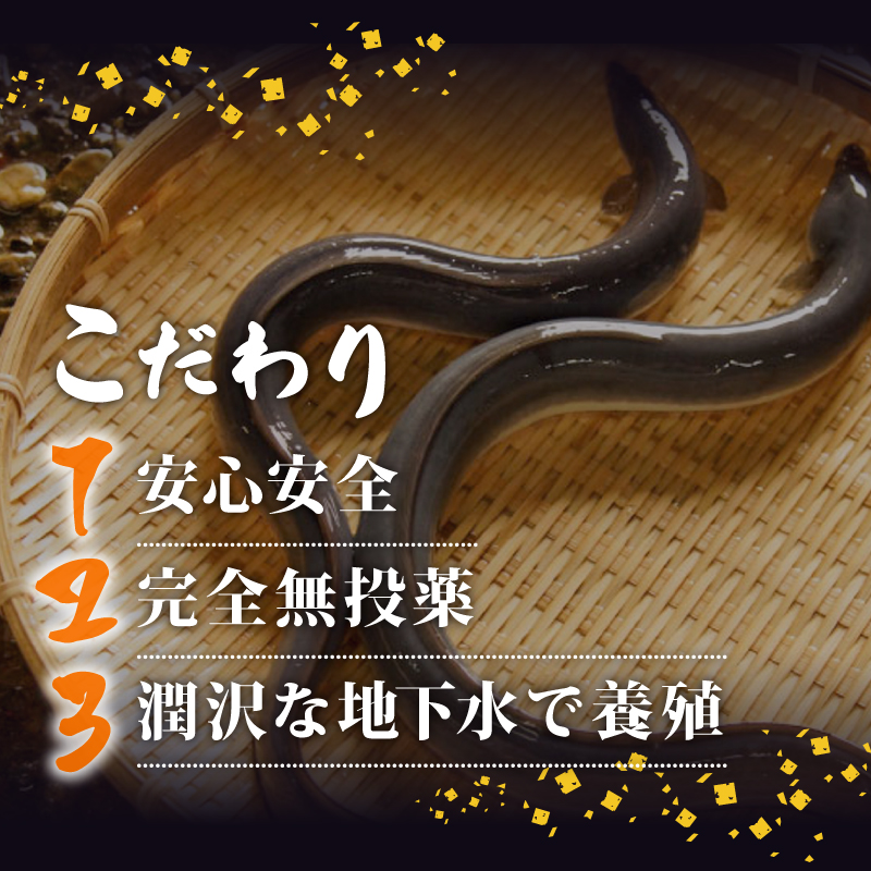 高知県産 うなぎ蒲焼き 220g 5尾セット