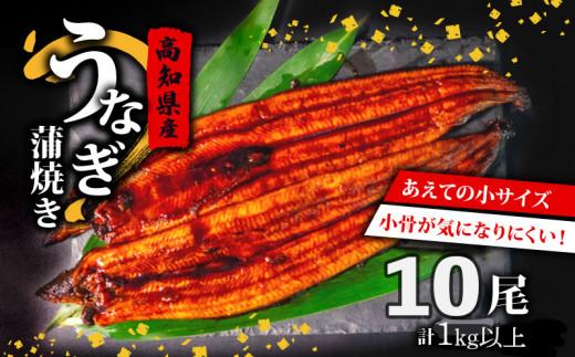 高知県産 養殖 うなぎ 蒲焼 100g〜120g×10尾 セット タレ付き 贈答 養殖 肉厚 鰻 土用丑の日 敬老の日 高知県 須崎市