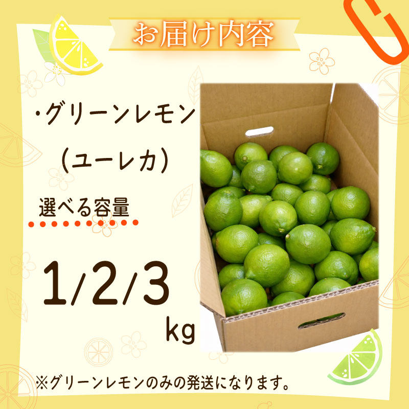 【農林水産大臣賞  先行予約 国産 レモン】選べる 内容量 グリーンレモン 1kg れもん 酸味 甘み 防腐剤不使用 産地直送 大関農園  静岡県 牧之原市