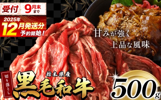 【12月発送】栃木県産黒毛和牛切り落とし 500g  | 霜降り 肉 和牛 黒毛和牛 栃の木黒牛 切り落とし とろける 品質 柔らかく 銘柄牛 美味しい 特産品 ふるさと 納税 栃木県 那珂川町 送料無料