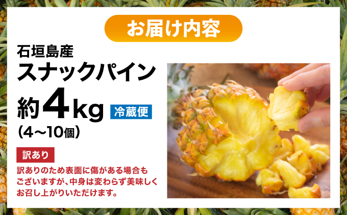 【2026年4月中旬発送】訳あり 石垣島産 スナックパイン 約4kg（4～10個）KP-01 | ふるさと納税 パイナップル 産地直送 フルーツ 果物 パイン 石垣 沖縄 沖縄県石垣市 石垣島
