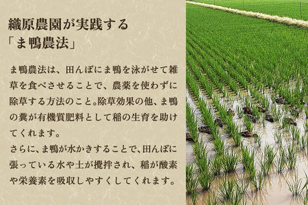 【令和7年産】【無農薬・無化学肥料】新潟産コシヒカリ「かも米」玄米20kg（5kg×4袋）
