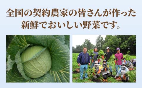 あの人気店の味をおうちで！ちゃんぽん8食セット 吉野ヶ里町/リンガーフーズ[FBI002]