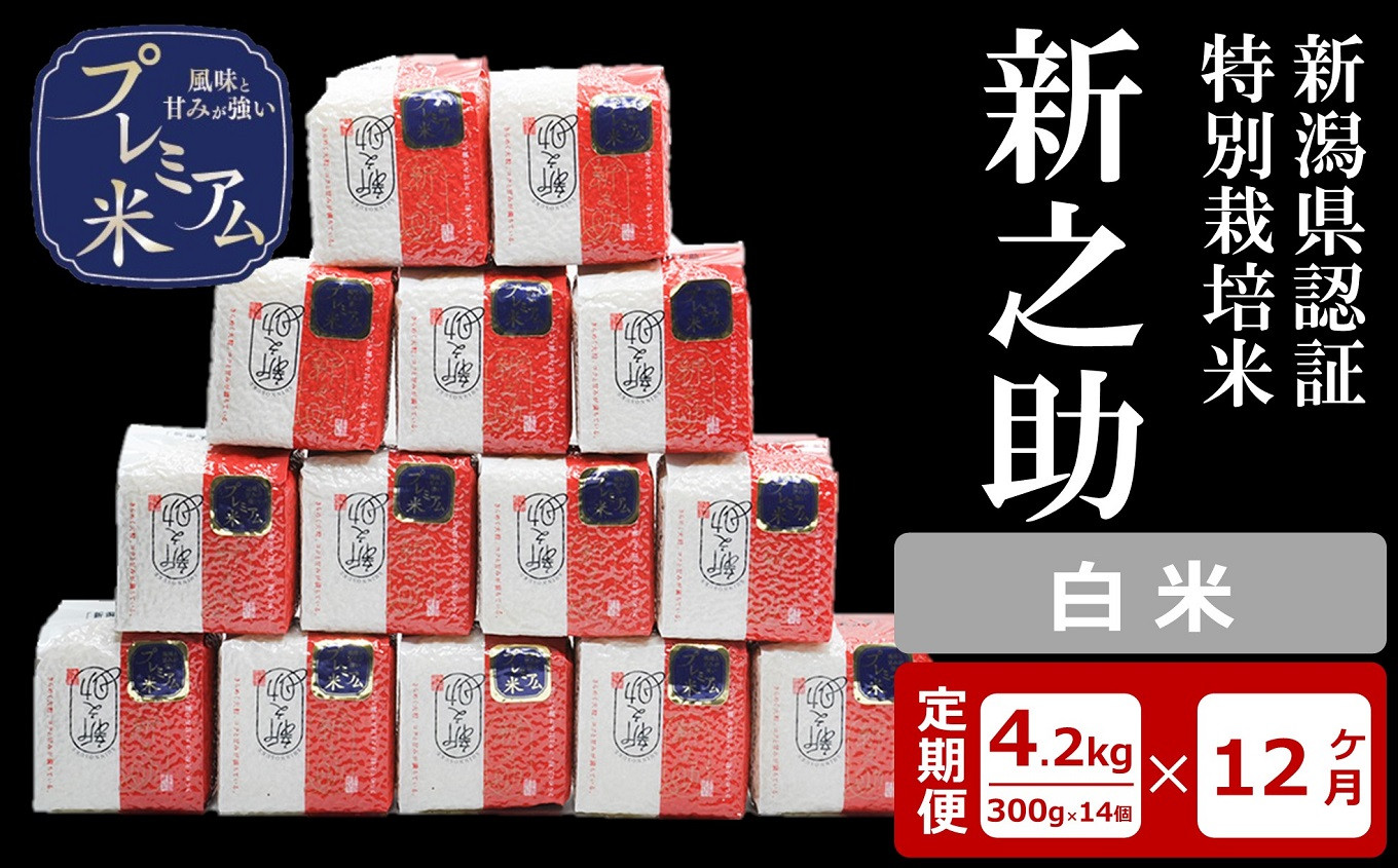 
            【12ヶ月定期便】甘味の強いプレミアム米 新潟県認証特別栽培米 新之助 白米 真空パック 4.2kg（300g×14個）×12回（計 50.4kg）アグリーホンマ[Y0382]
          