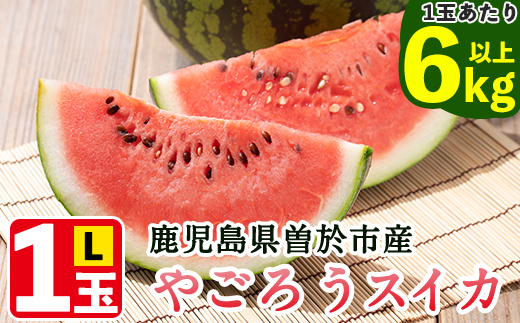 ＜選べる内容量！＞＜2025年7月中旬以降発送予定＞《期間限定》やごろうスイカ1個(L玉・1個6kg以上) 【曽於市観光協会】A484