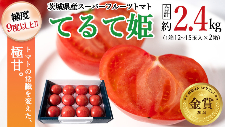 
糖度9度以上 トマト 【 2025年収穫分 先行予約 】 スーパーフルーツトマト てるて姫 中箱 約1.2kg×2箱 【12〜15玉/1箱】 糖度9度以上 ブランドトマト 2025年2月上旬発送開始 フルーツトマト トマト とまと てるてひめ 桜川市 茨城県桜川市 [BC034sa]
