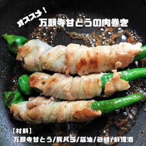 京の伝統野菜 「万願寺甘とう」1箱 1.2㎏ 袋入り 小分け 甘い！美味い！辛くない！舞鶴発祥京のブランド産品 【2024年夏発送分】