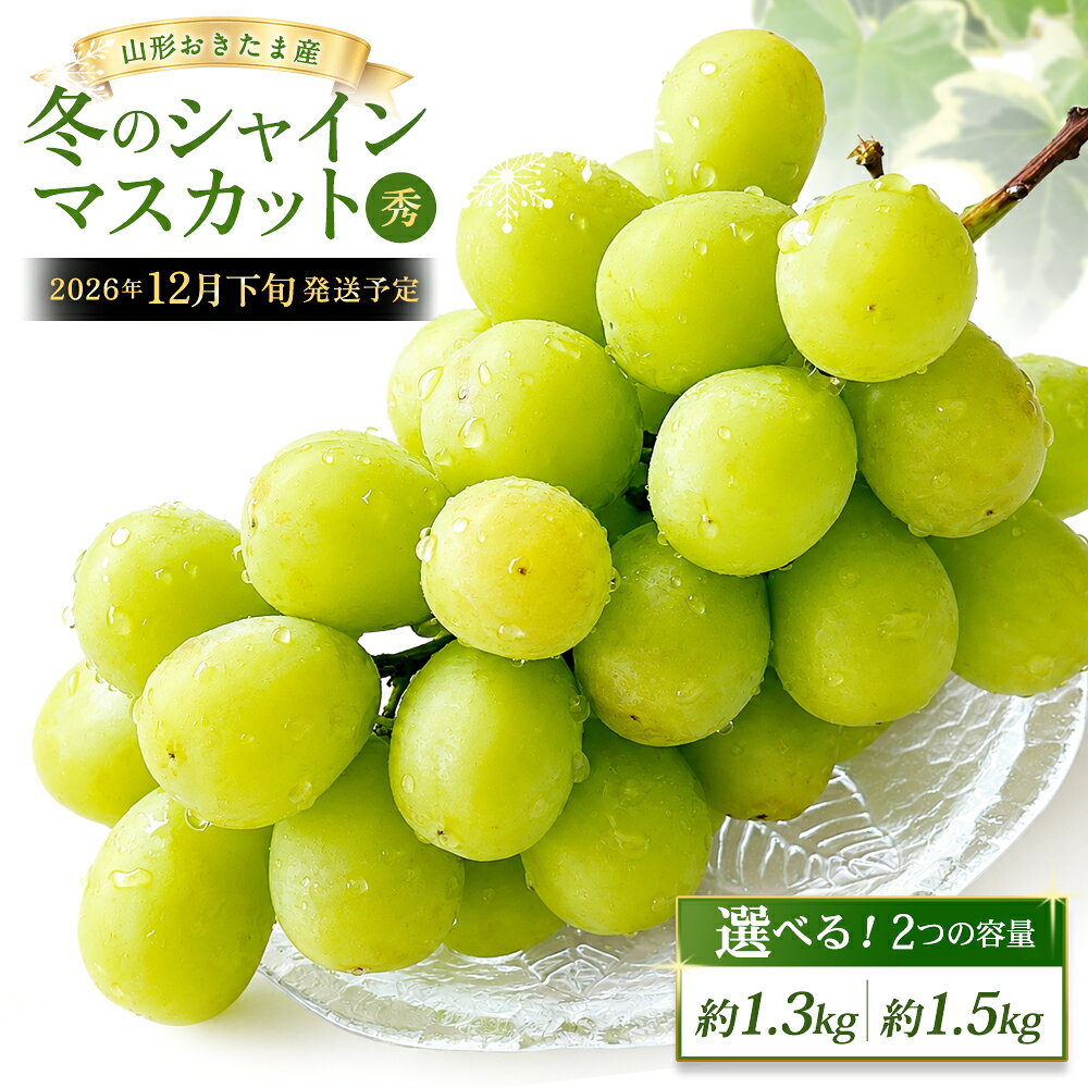 【ふるさと納税】山形おきたま産 冬のシャインマスカット 秀 ＜選べる容量＞【2～3房 （約1.3kg）／2～4房（約1.5kg）】シャインマスカット マスカット 葡萄 ぶどう ブドウ フルーツ スイーツ 果物 くだもの 果実 山形県 白鷹町 冷蔵 送料無料 【2026年12月下旬発送予定】