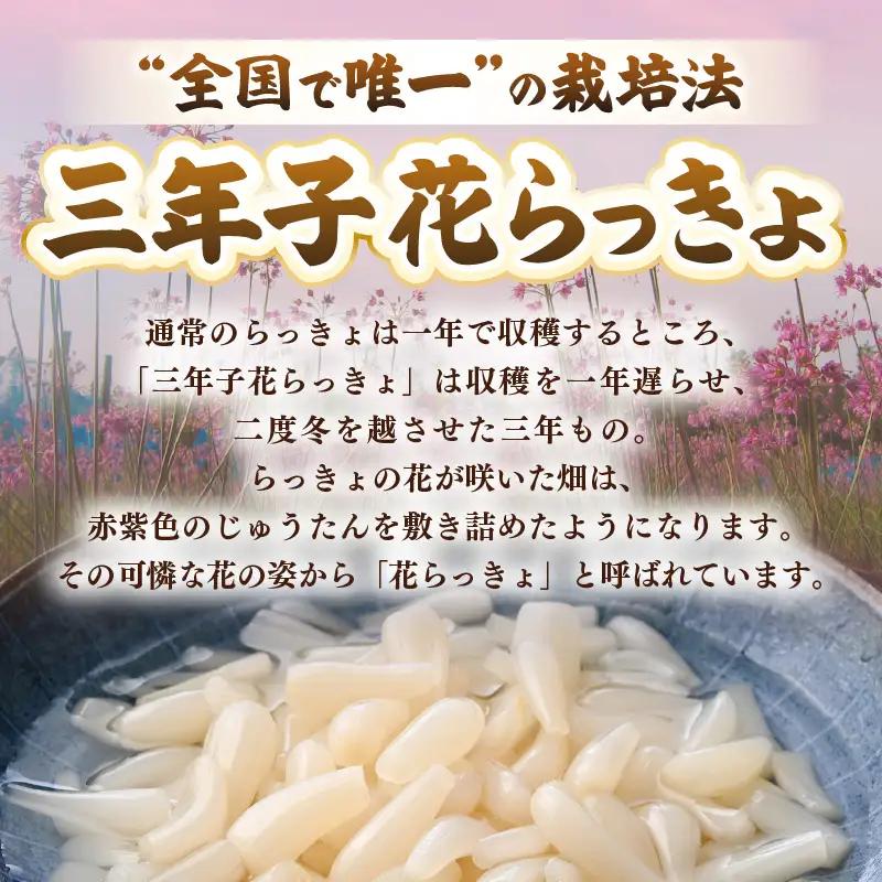 三年子花らっきょ 極小粒らっきょ 200ｇ×5袋 化学調味料不使用 漬け物 らっきょう [A-0708]