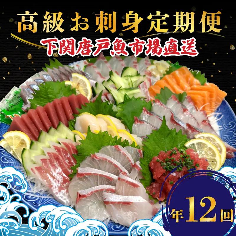 【 刺身 】 高級刺身定期便 12回 EY